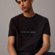 Calvin Klein Ανδρική κοντομάνικη μπλούζα Chenille Monogram T-shirt
